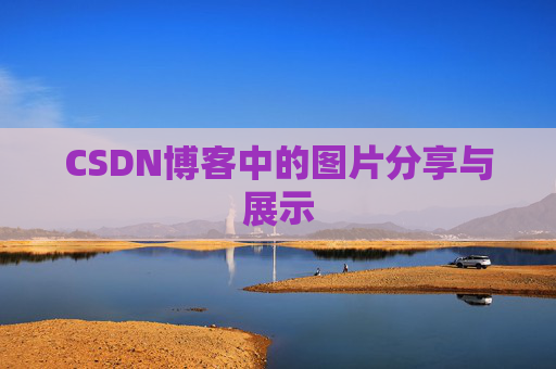 CSDN博客中的图片分享与展示